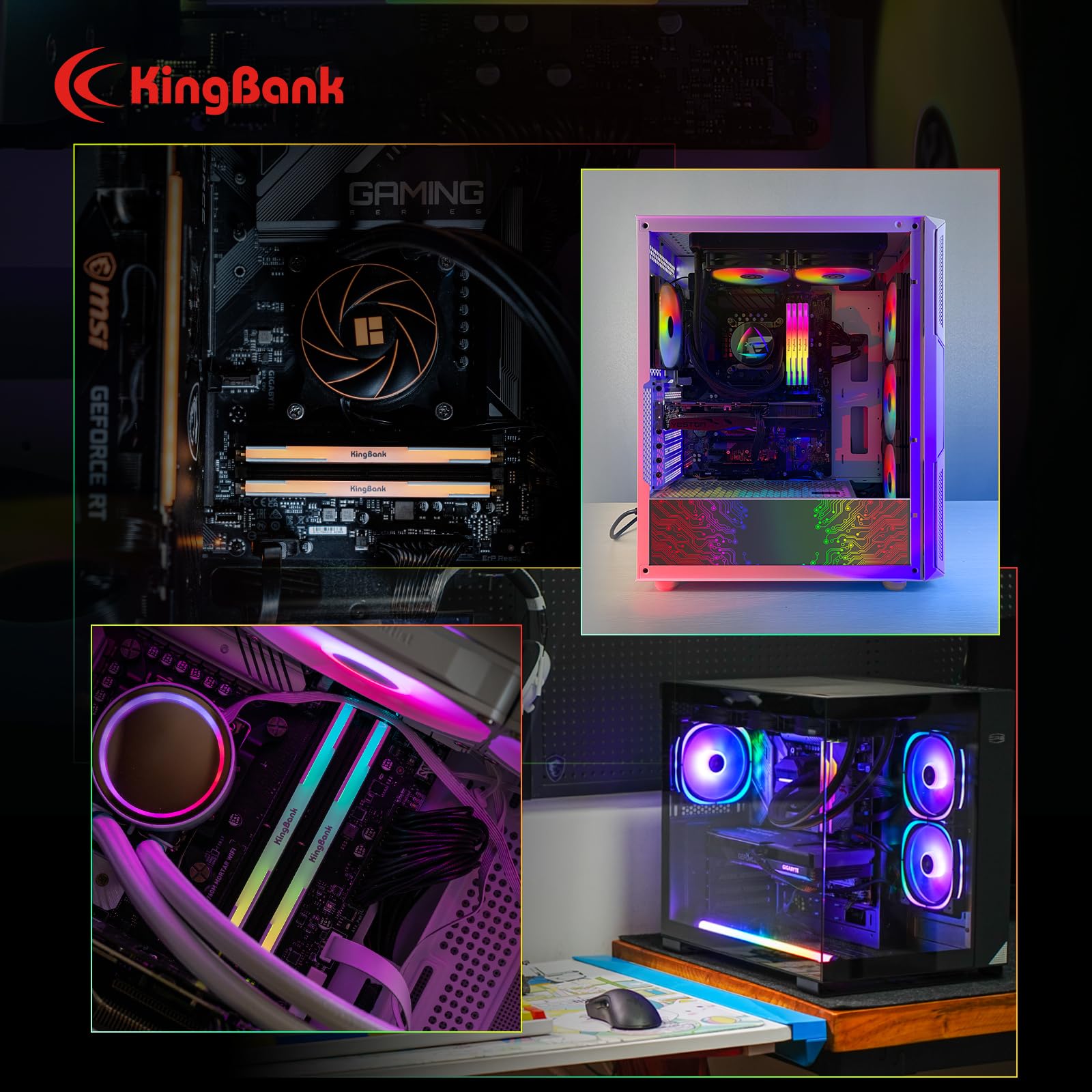 Amazon.com: KingBank Official : All Product